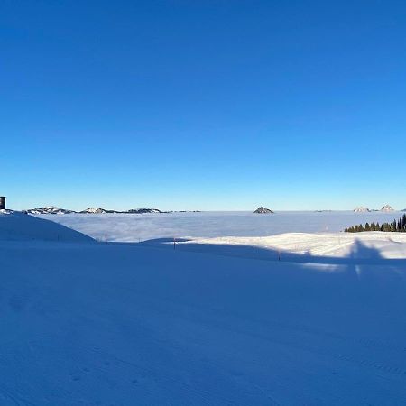 Schoene Ferienwohnung In Traumlage Fewo Solohike Seelisberg Luaran gambar