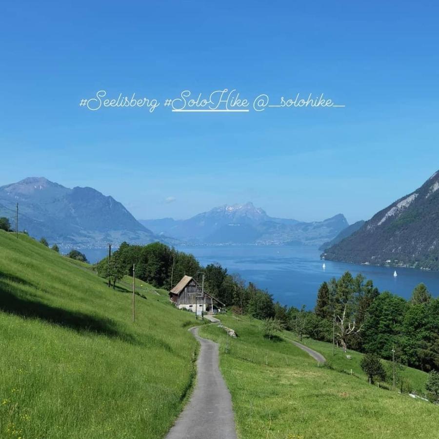 Schoene Ferienwohnung In Traumlage Fewo Solohike Seelisberg Luaran gambar